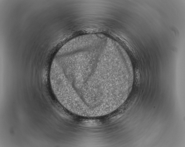 X0000111790499200908201135