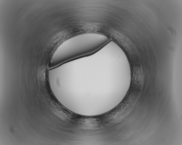 X0000111790501200908201135