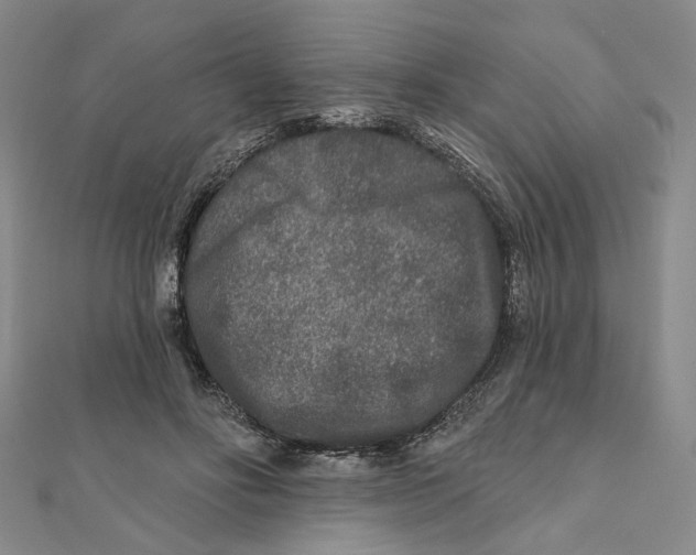 X0000111790502200908201135