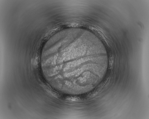 X0000111790503200908201135