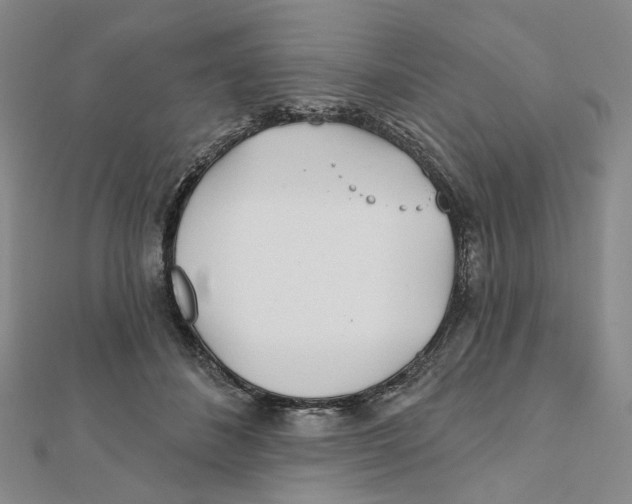 X0000111790508200908201135