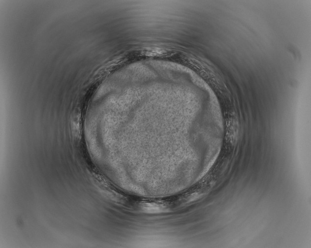 X0000111790510200908201134