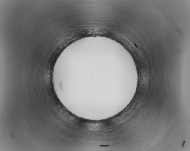 X0000111790513200908201134