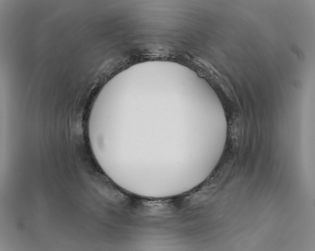 X0000111790516200908201134