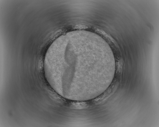 X0000111790517200908201134