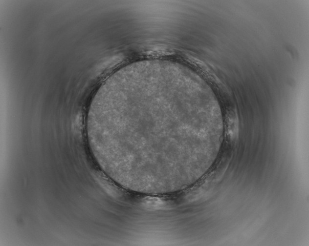 X0000111790519200908201134