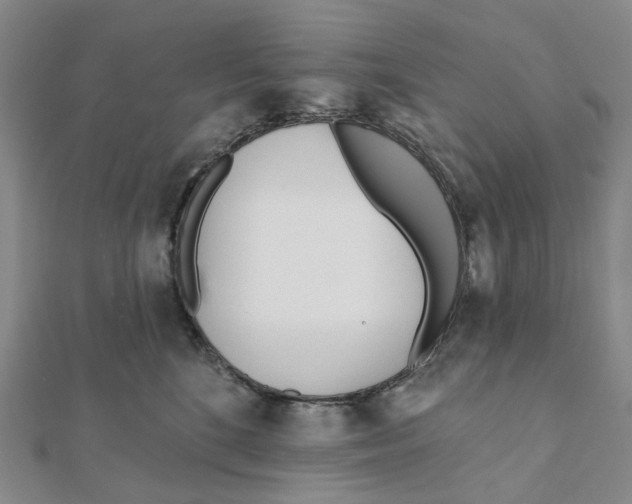 X0000111790520200908201134