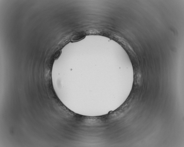 X0000111790521200908201134