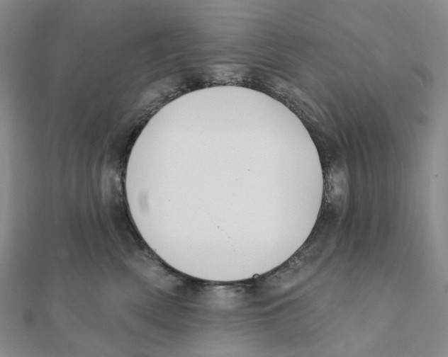 X0000111790522200908201134