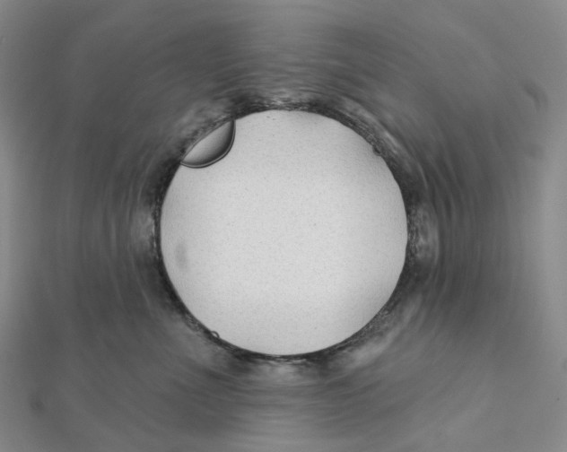 X0000111790523200908201134