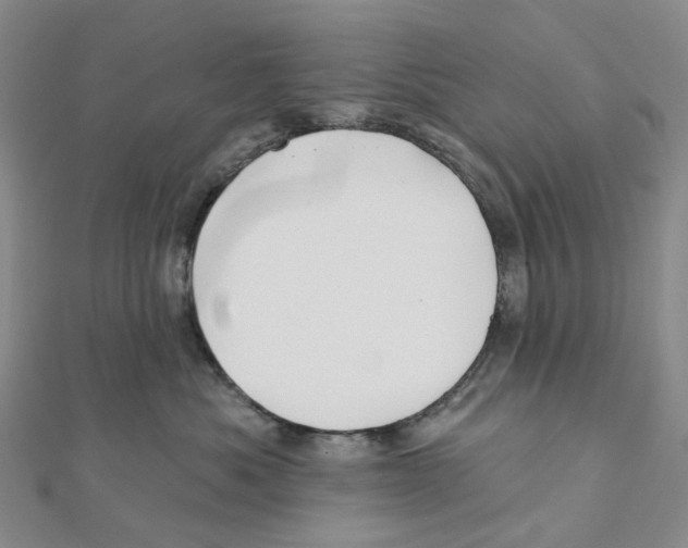 X0000111790525200908201134