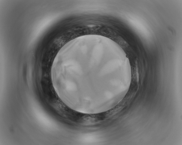 X0000111790526200908201134