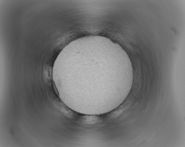 X0000111790528200908201134