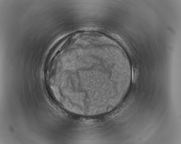 X0000111790531200908201134