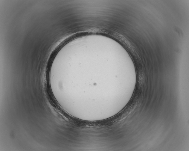 X0000111790532200908201134