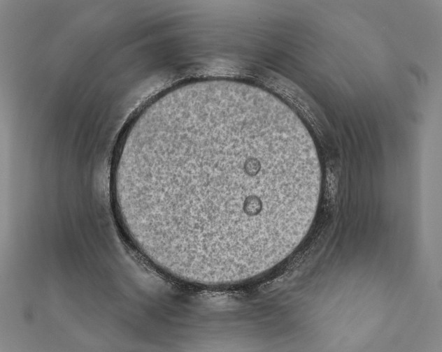 X0000111790534200908201134