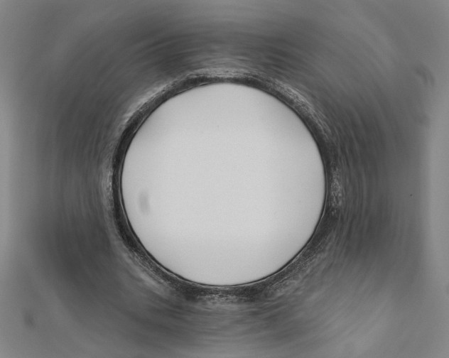 X0000111790535200908201134