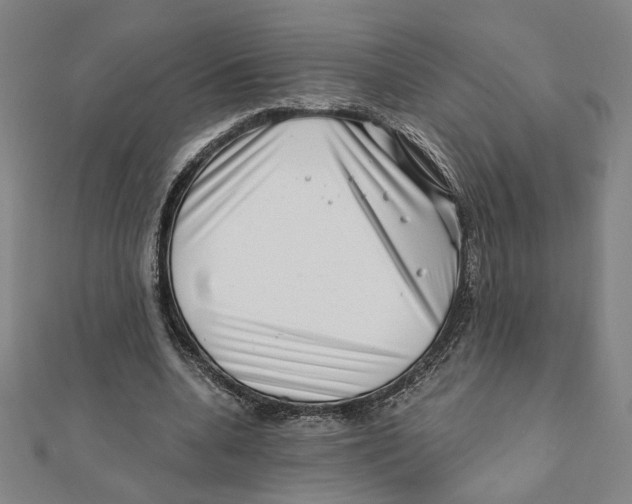 X0000111790536200908201134