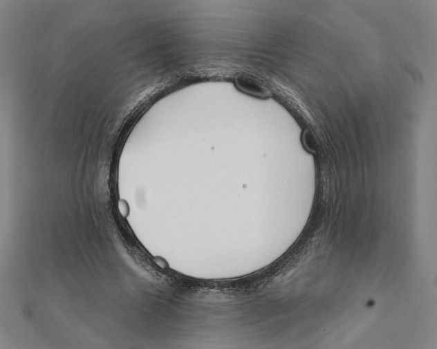 X0000111790538200908201134