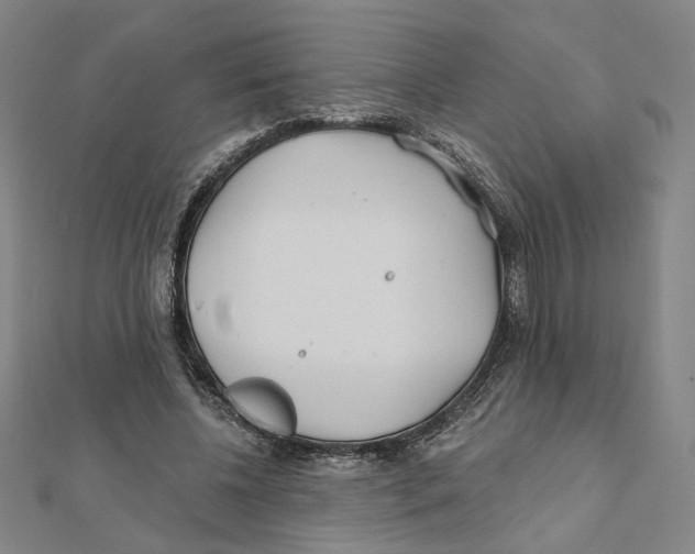 X0000111790540200908201134