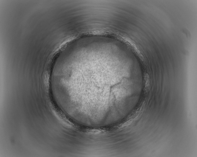 X0000111790542200908201134