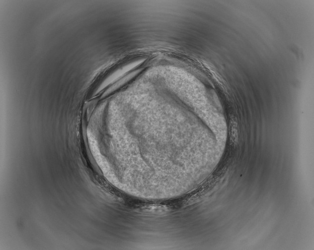 X0000111790543200908201134