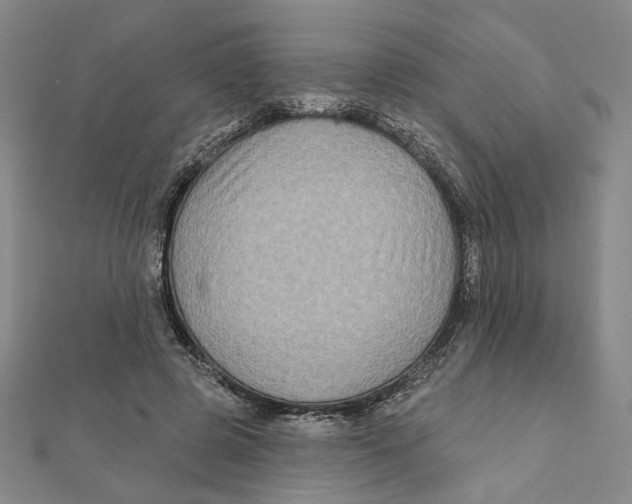 X0000111790545200908201134