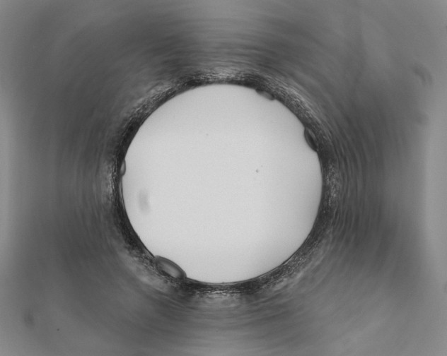 X0000111790546200908201134