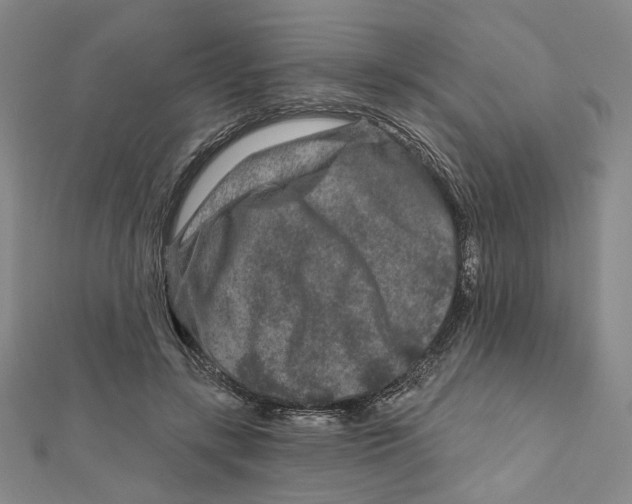 X0000111790547200908201134