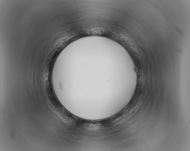 X0000111790548200908201134