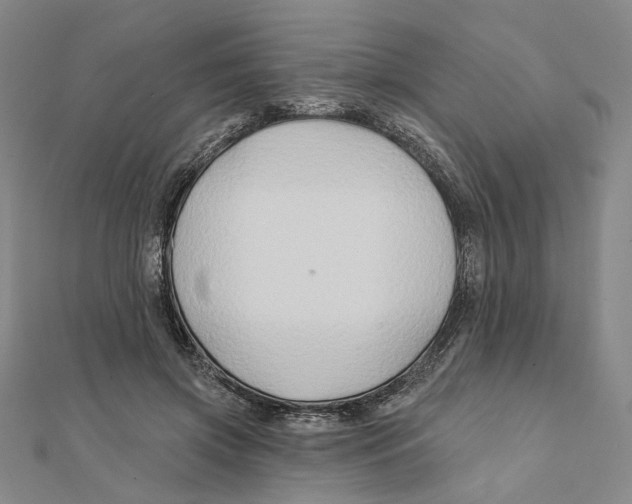 X0000111790549200908201134