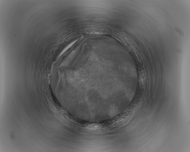 X0000111790551200908201134