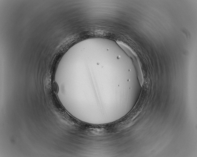 X0000111790552200908201134