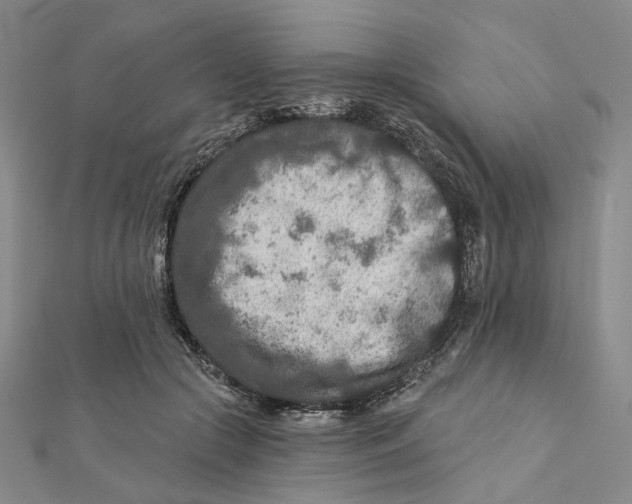 X0000111790553200908201134