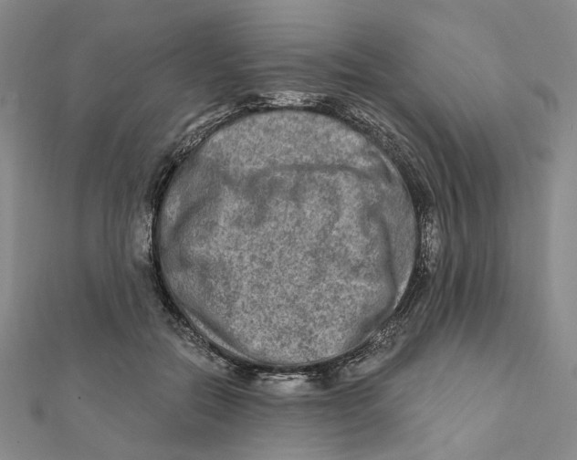 X0000111790554200908201134