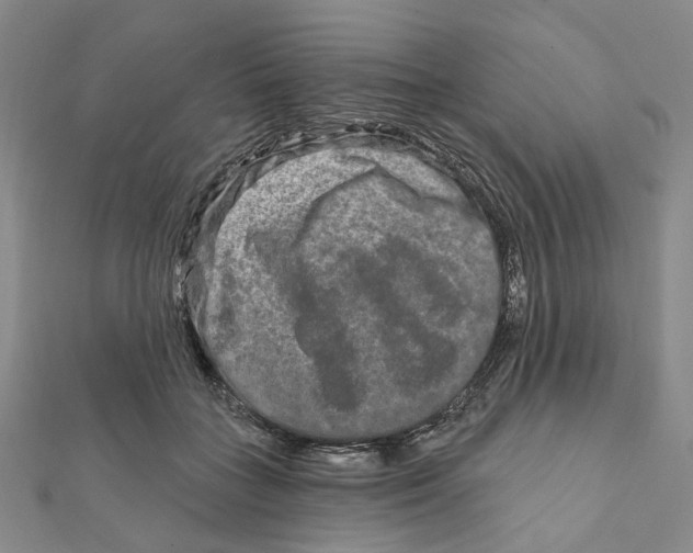 X0000111790555200908201134