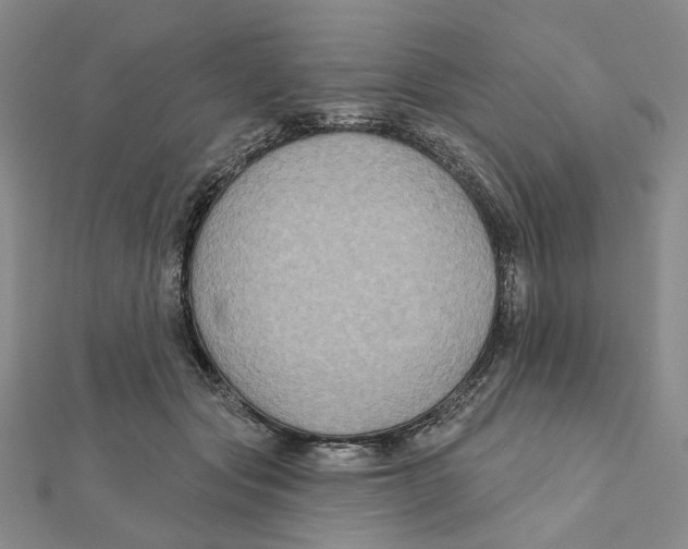 X0000111790557200908201134