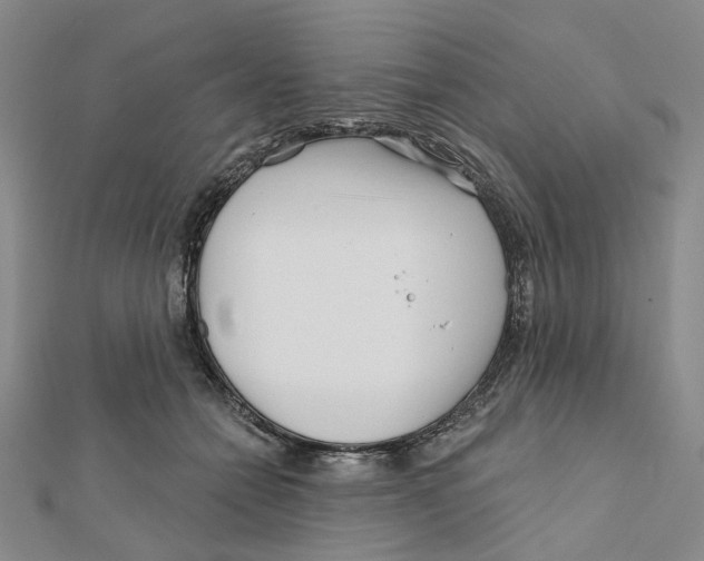 X0000111790558200908201134