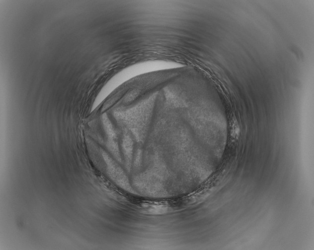 X0000111790559200908201134