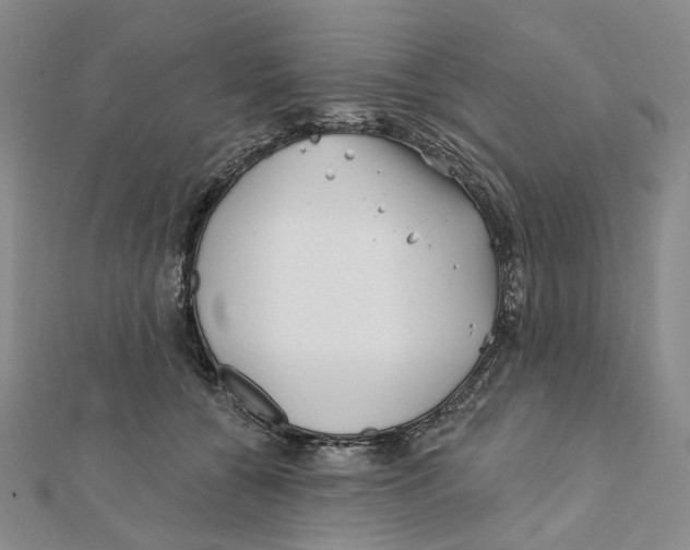 X0000111790560200908201134