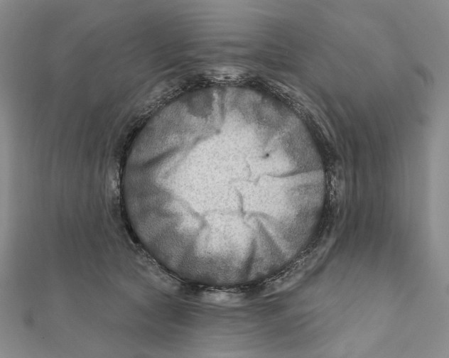 X0000111790561200908201134