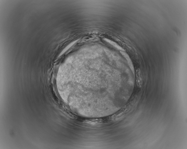 X0000111790563200908201134