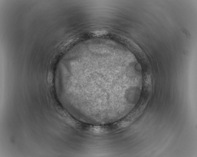 X0000111790565200908201134