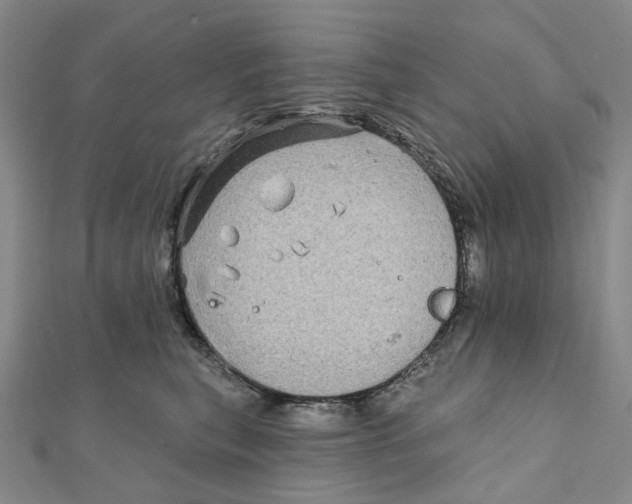 X0000111790567200908201134