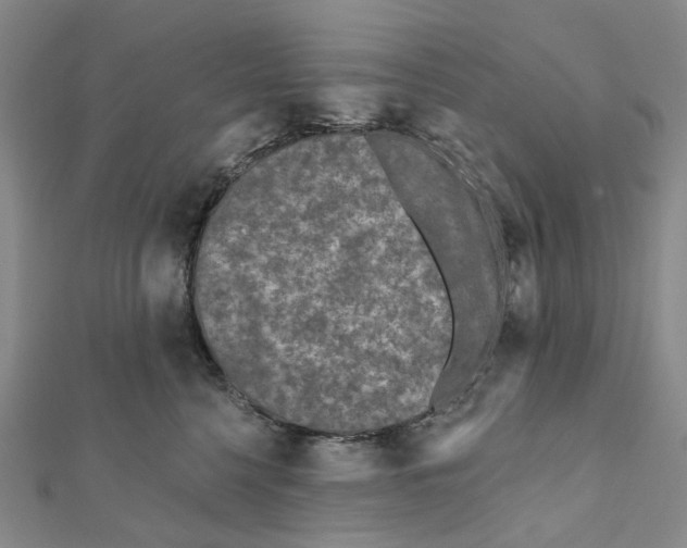 X0000111790568200908201134