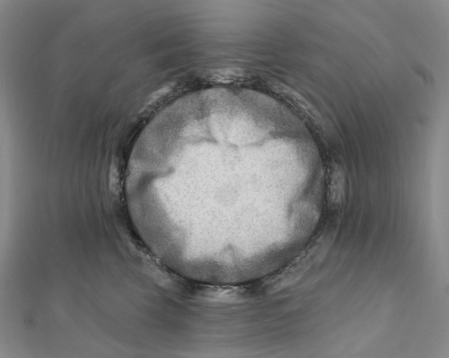 X0000111790569200908201134