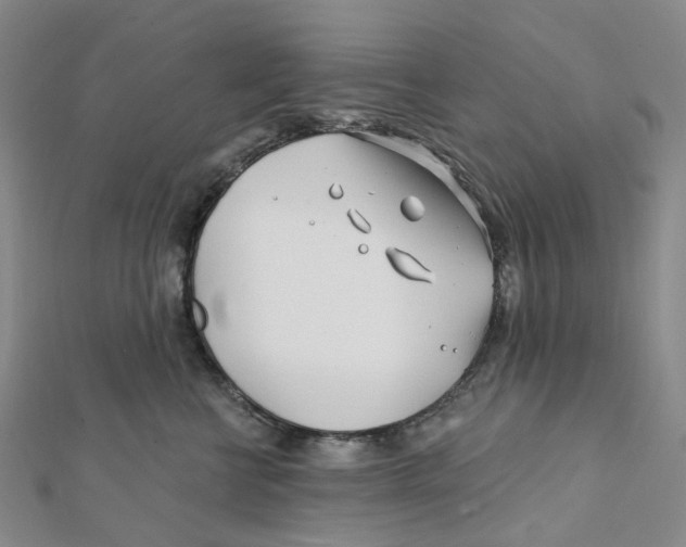 X0000111790570200908201134