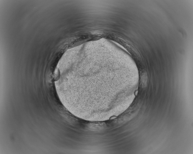 X0000111790571200908201134