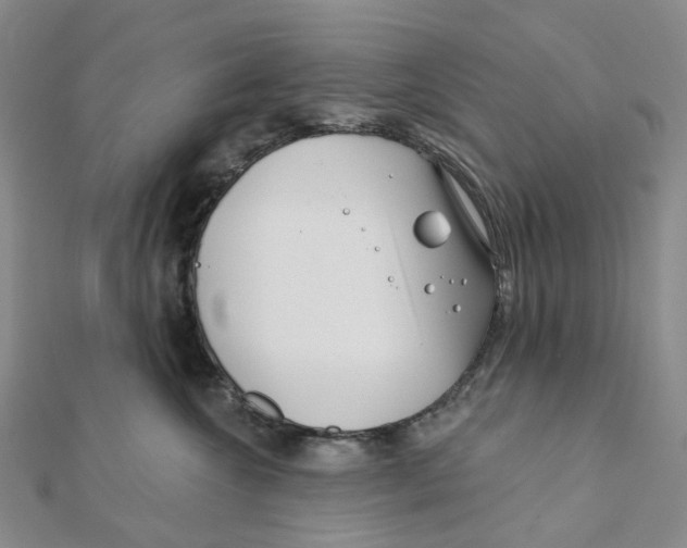 X0000111790572200908201134