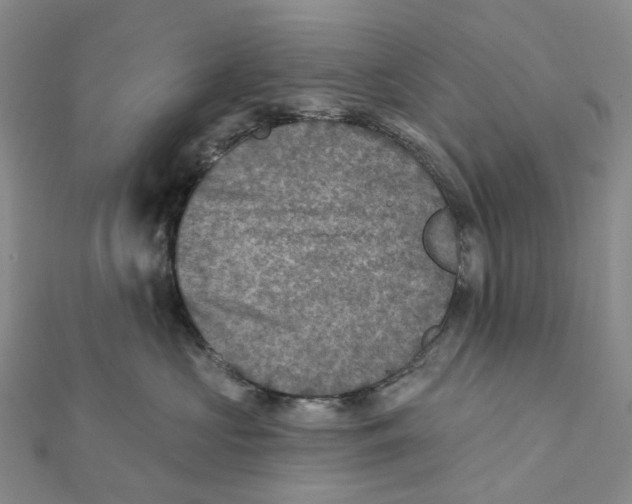 X0000111790573200908201134